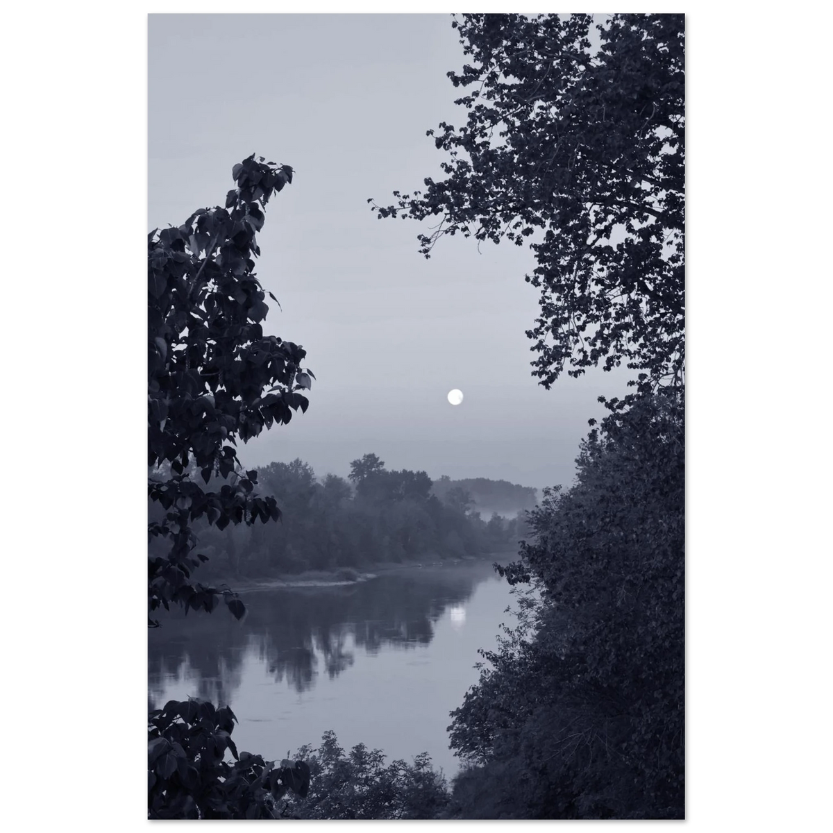 19128695-8350-4fb4-8fd8-3339f08253d1