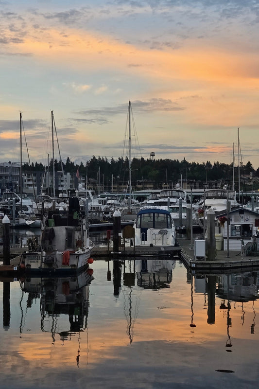 Golden Morning Moorings