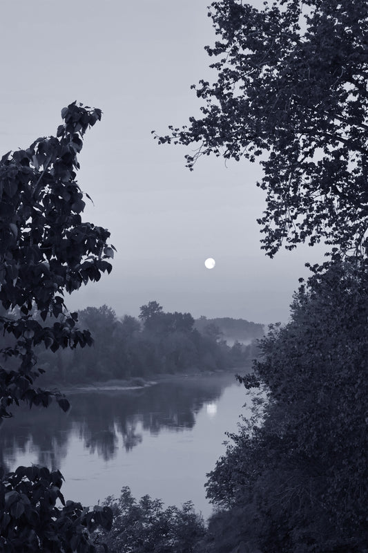 Luminous Silence